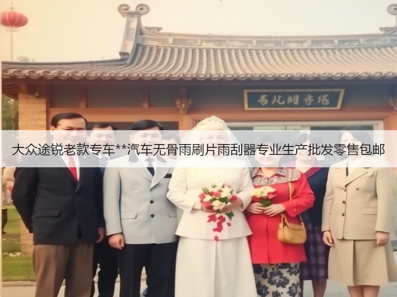 大众途锐老款专车**汽车无骨雨刷片雨刮器专业生产批发零售包邮