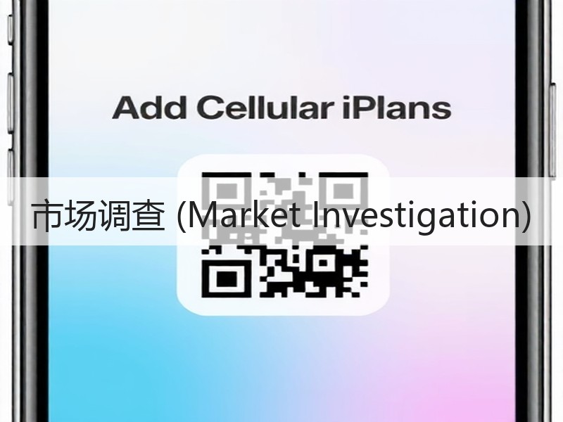 市场调查 (Market Investigation) 市场调查 (Market Investigation)
