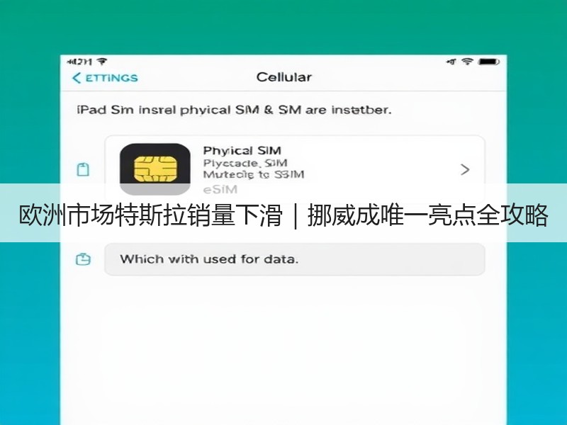 欧洲市场特斯拉销量下滑｜挪威成唯一亮点全攻略