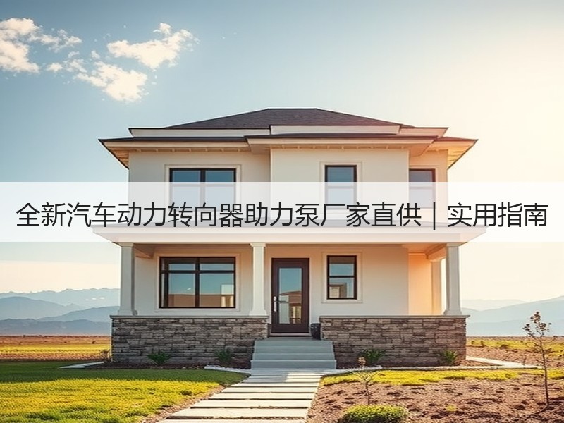 全新汽车动力转向器助力泵厂家直供|实用指南 全新汽车动力转向器助力泵厂家直供|实用指南
