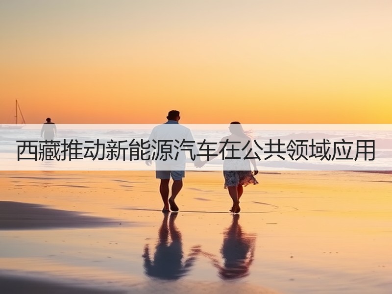 西藏推动新能源汽车在公共领域应用 西藏推动新能源汽车在公共领域应用