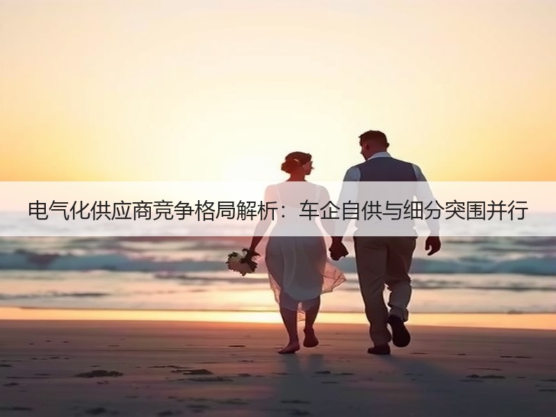 电气化供应商竞争格局解析:车企自供与细分突围并行 电气化供应商竞争格局解析:车企自供与细分突围并行