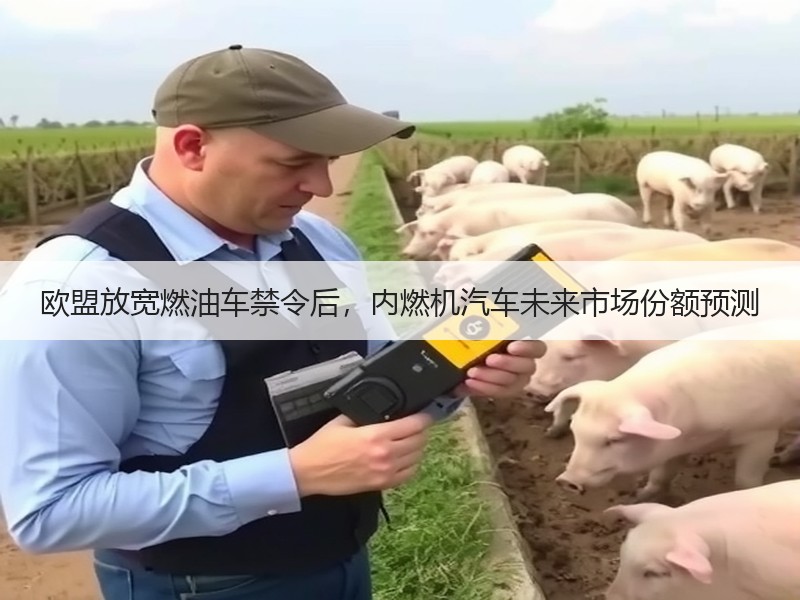欧盟放宽燃油车禁令后,内燃机汽车未来市场份额预测 欧盟放宽燃油车禁令后,内燃机汽车未来市场份额预测