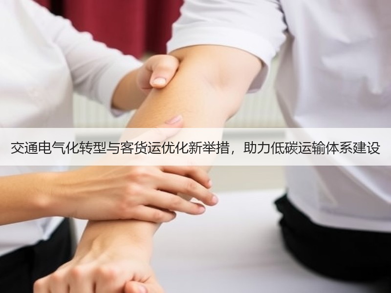 交通电气化转型与客货运优化新举措,助力低碳运输体系建设 交通电气化转型与客货运优化新举措,助力低碳运输体系建设