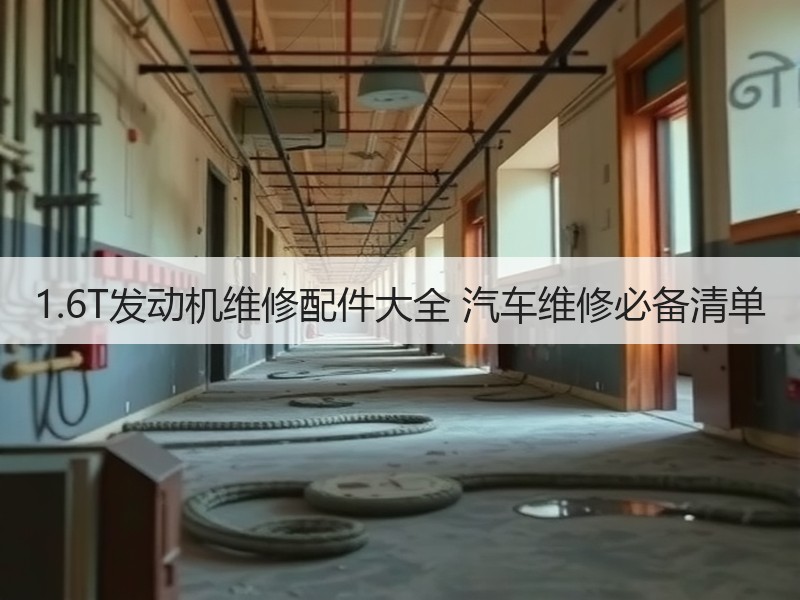 1.6T发动机维修配件大全 汽车维修必备清单 1.6T发动机维修配件大全 汽车维修必备清单